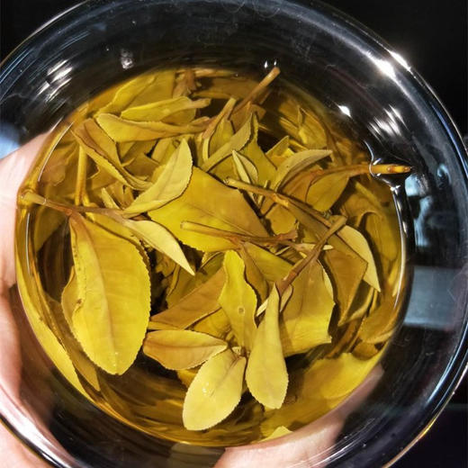 【茶馆茶叶】小众茶第三十一期丨严选黄金芽白茶丨 入口鲜醇 淡淡蜜甜香，花香丨唇齿留香 商品图0