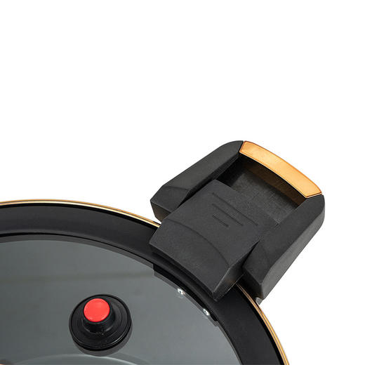 嘉尼特 (温显微压锅) DEP-859 4.2L 德铂 商品图3