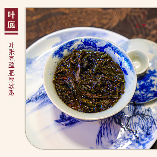【山纯限品】（2023年）小典藏大红袍（肆）17g 商品图4