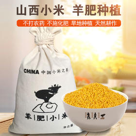 【山西羊肥小米】颗粒饱满，粘稠香浓米油大，米汁绵软易嚼，满口生香！