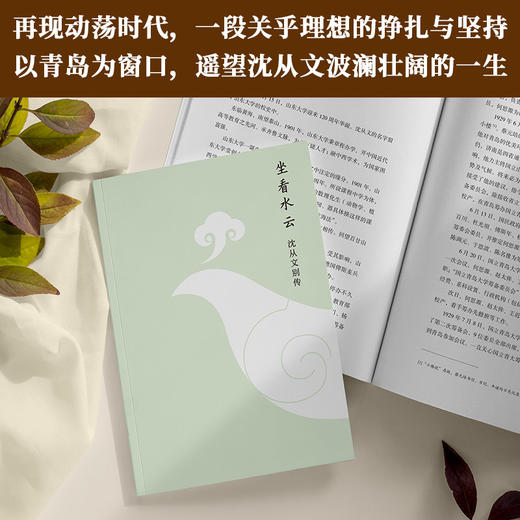坐看水云：沈从文别传 商品图2