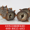 【张奶奶】鲜蒸即食海参500g/盒(10-16头)*1盒 商品缩略图2