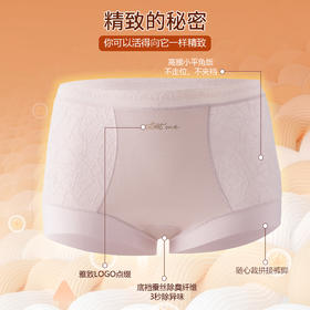 轻奢棉感锦纶提花女神裤—WL8116款