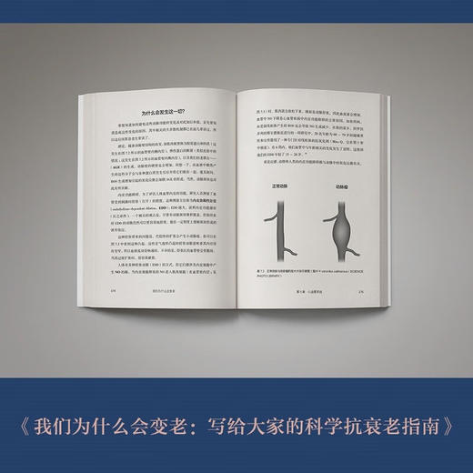 我们为什么会变老 贝丝贝内特 著 养生保健 商品图3