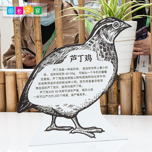 芦丁鸡小屋介绍立牌芦丁鸡介绍立牌 商品图2