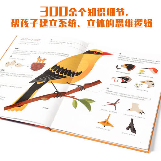 人类是怎样飞上天的？ 商品图4