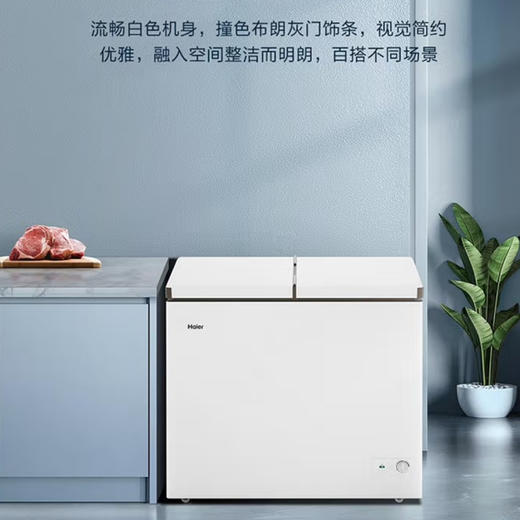 海尔（Haier）冰柜 FCD-216LHSD 商品图11