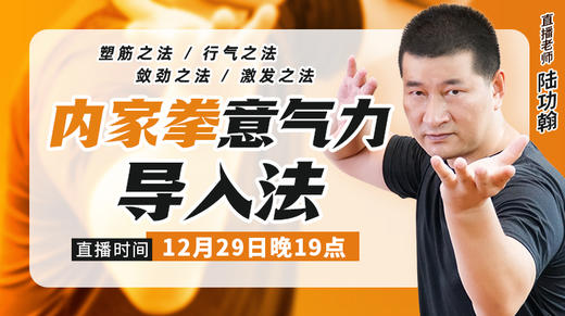 12月29日【内家拳“意、气、力”导入法】 商品图0