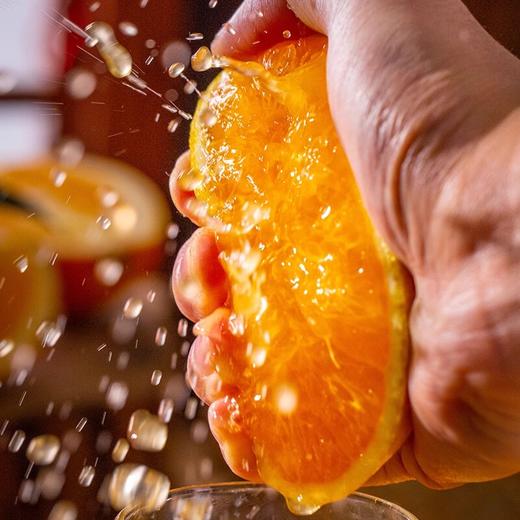 阳光1号橙（5kg） 商品图4