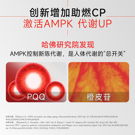 AMPK每日博士C3益生菌 CECT8145双倍升级擎炫腹小腰菌-<sss> 商品图3