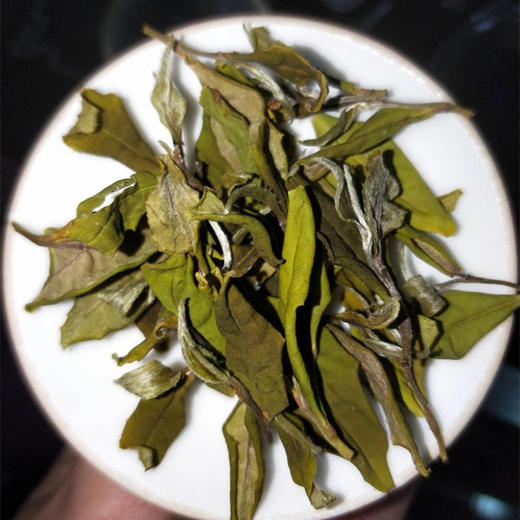 【茶馆茶叶】小众茶第三十一期丨严选黄金芽白茶丨 入口鲜醇 淡淡蜜甜香，花香丨唇齿留香 商品图2
