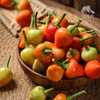 生态五彩椒 |绿家自产*Ecological colorful Pepper | Self-production | 商品缩略图6