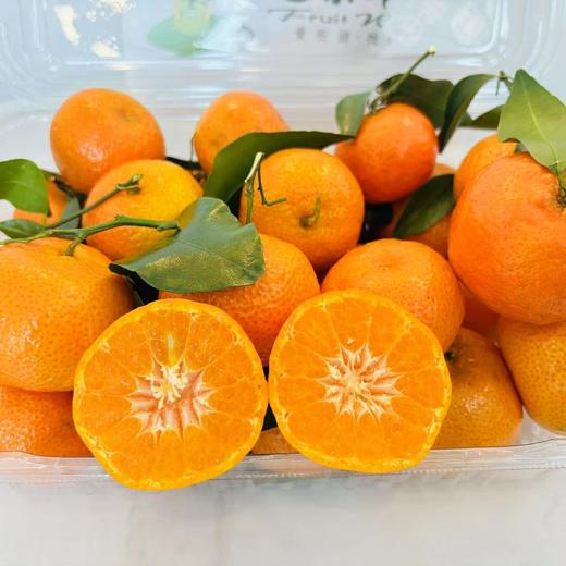 金秋砂糖橘·2斤装 商品图2