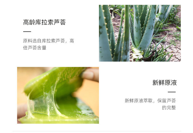 芦荟98_07