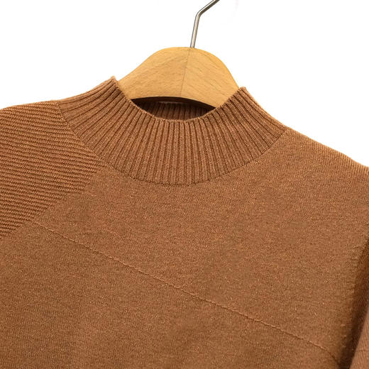 VIVIAN LIU薇薇安刘TR2356305秋女装新款半高领胸前分割线羊毛衫 商品图2