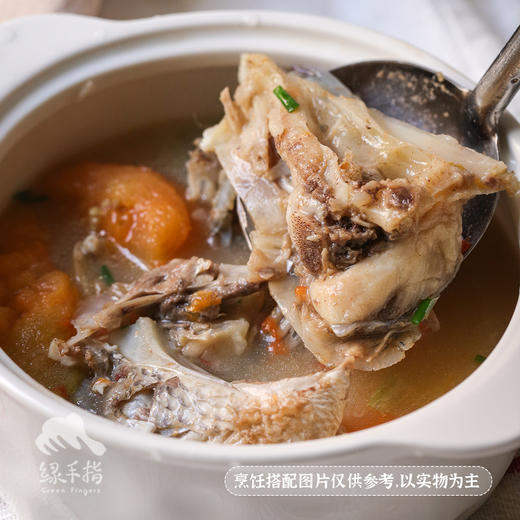 生态罗非鱼排/鱼腩/鱼骨 | 绿家自产 * Eco- Grass Carp | Self-production 商品图5