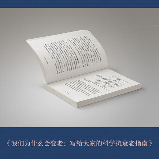 我们为什么会变老 贝丝贝内特 著 养生保健 商品图2