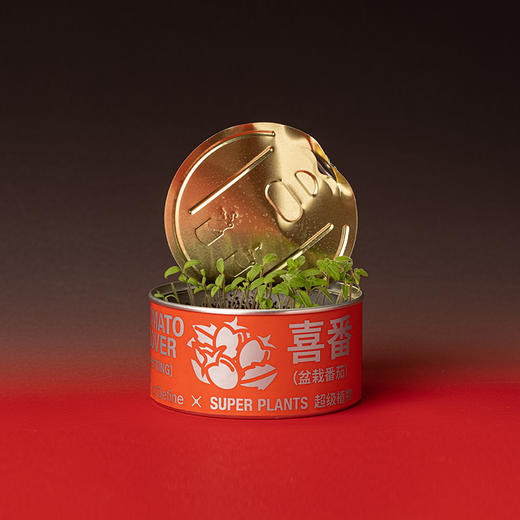 寓义X超级植物公司联名喜番香氛礼盒小众无火香薰蜡烛生日圣诞礼物 商品图2