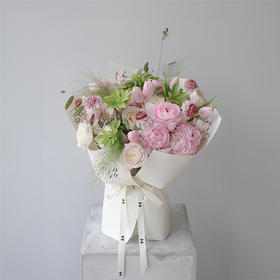 早莺暖树 Spring Warblers