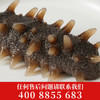 【张奶奶】鲜蒸即食海参500g/盒(10-16头)*1盒 商品缩略图1