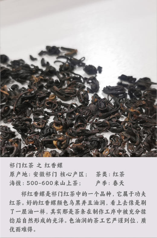 祁门红茶 红香螺 150克装 西黄山高山春茶 足发酵有甜果香 无生青 暖胃 商品图2