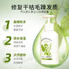 啤肤人啤酒花润泽洗发水 商品缩略图1