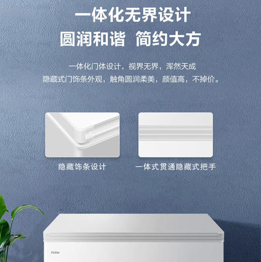 海尔（Haier）冰柜 BC/BD-300GHD 商品图8