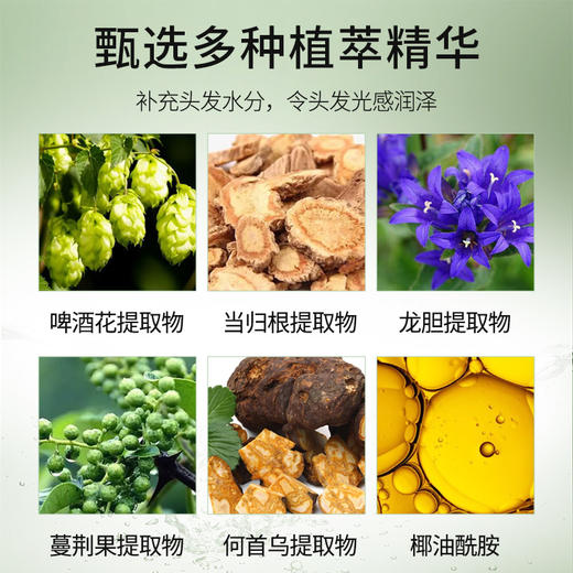 啤肤人啤酒花润泽洗发水 商品图2