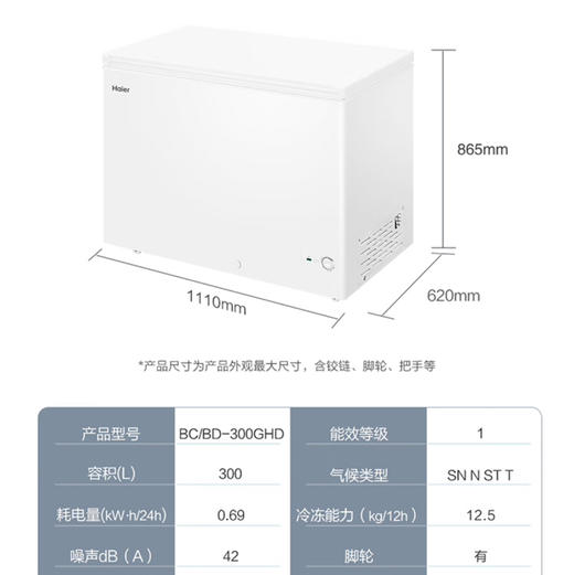 海尔（Haier）冰柜 BC/BD-300GHD 商品图9