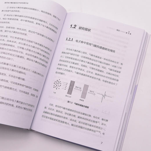 面向电子鼻的复合光气体传感方法 电子鼻气体传感算法人工嗅觉机器学习传感器理论基础及应用智能传感技术书籍 商品图3