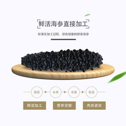 即食海参 | 土耳其爱琴海自然散养8-12头米刺参制作 5年上参龄 粗壮饱满 刺刺分明 肉筋完整 颜色黑褐 营养丰富低温熟化技术制作 开袋即食 吃法多样 商品图4