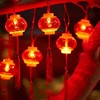 【福运新年❗️国潮水晶流苏灯笼灯】花团锦簇，充满喜庆气氛。LED春节日装饰布置彩灯串灯闪灯满天星，蛇年 商品缩略图4