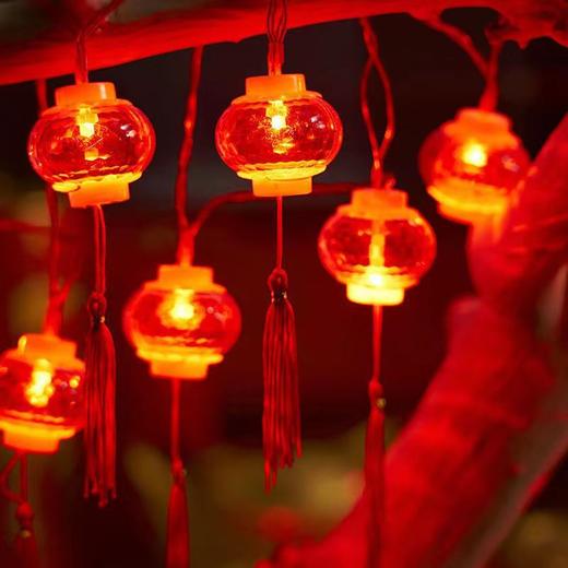 【福运新年❗️国潮水晶流苏灯笼灯】花团锦簇，充满喜庆气氛。LED春节日装饰布置彩灯串灯闪灯满天星，蛇年 商品图4