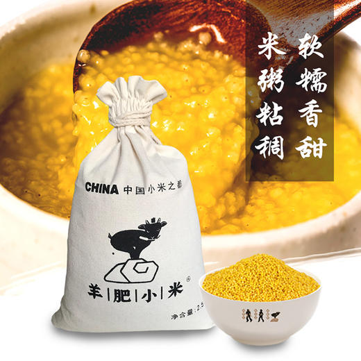 【山西羊肥小米】颗粒饱满，粘稠香浓米油大，米汁绵软易嚼，满口生香！ 商品图1