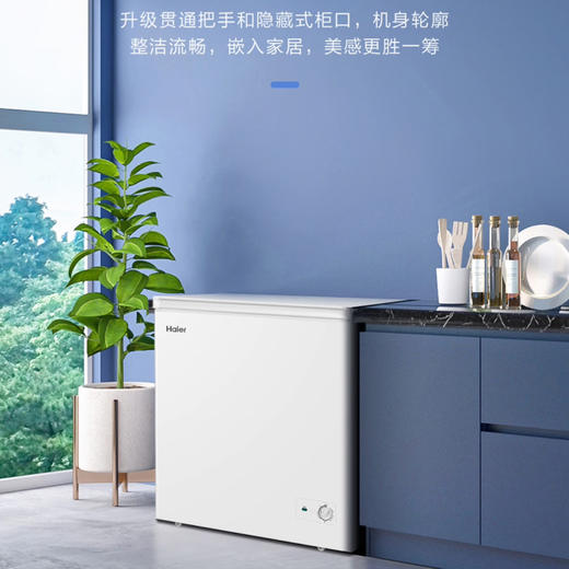 海尔（Haier）冰柜 BC/BD-200GHDT 商品图5