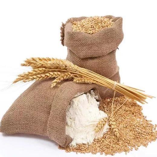 自留种白面粉，全麦粉，今年新麦子 || 善地善行 商品图2