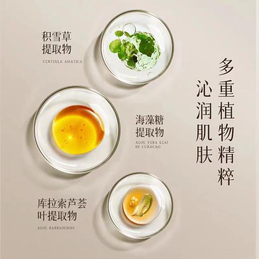 【活动价￥9.9/支 ￥19.91/3支 】ZEESEA滋色沁水香氛护手霜60g 商品图3