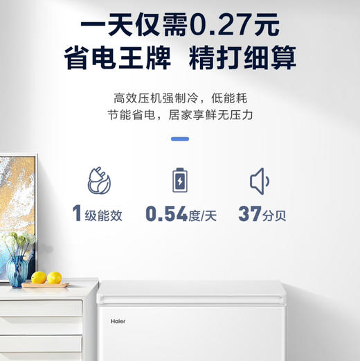 海尔（Haier）冰柜 BC/BD-200GHDT 商品图12