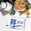 新希望(双喜)巴氏袋鲜鲜牛奶220ml(升级版) 商品缩略图1