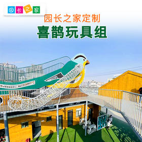 大型户外室外玩游乐设备 博苑喜鹊