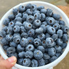 云南澄江 高原花香蓝莓 商品缩略图4