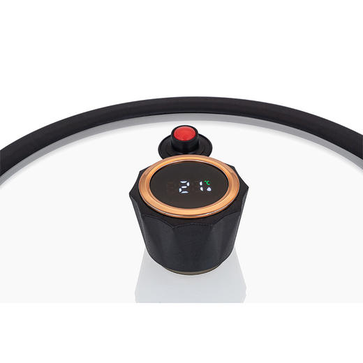 嘉尼特 (温显微压锅) DEP-859 4.2L 德铂 商品图4