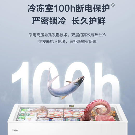 海尔（Haier）冰柜 BC/BD-300GHD 商品图2