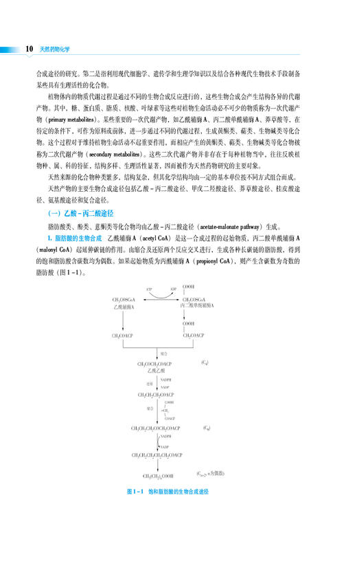 天然药物化学 第3版 全国普通高等中医药院校药学类专业第三轮规划教材 供临床药学 药物制剂等 中国医药科技出版社9787521440102  商品图4