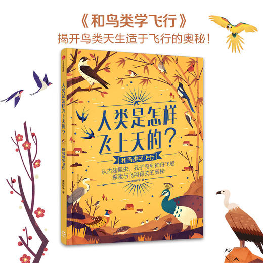 人类是怎样飞上天的？ 商品图2