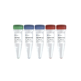 VAHTS Universal Circularization Kit for MGI