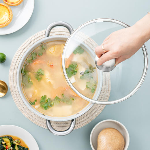 凡尔纳(汤锅) DEP-838 3.5L 德铂 商品图2