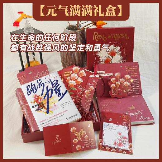 臻爱花园礼盒  用书写找到爱的内心花园 商品图3