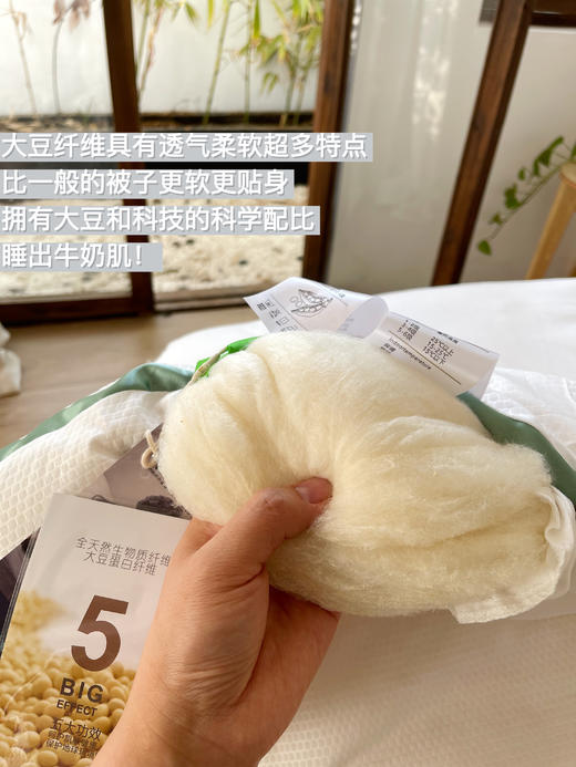 【清仓125/床约7斤重】外贸出口品质大豆抗菌小绿被 黑科技银离子大豆蛋白被 商品图3