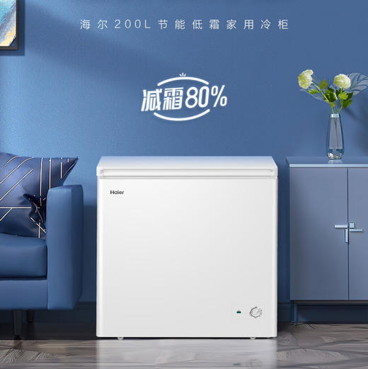 海尔（Haier）冰柜 BC/BD-200GHDT 商品图0